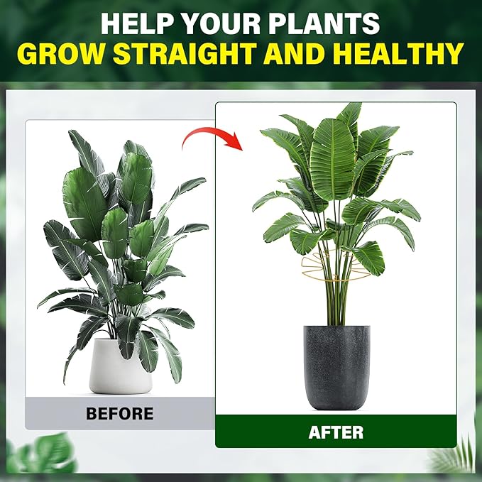6Pcs Gold Iron Monstera Plant Support Stakes - Indoor Plant Holders for Stem Support and Thriving Growth