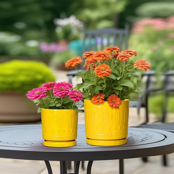 Eightpot 8 Inch Plant Pot, Ceramic Pots for Plants with Drainage Hole and Sacuer, Round Flower Pots for Indoor Outdoor Plants, Modern Decorative Planter, Table Decor, Plant Gifts for Women, Yellow
