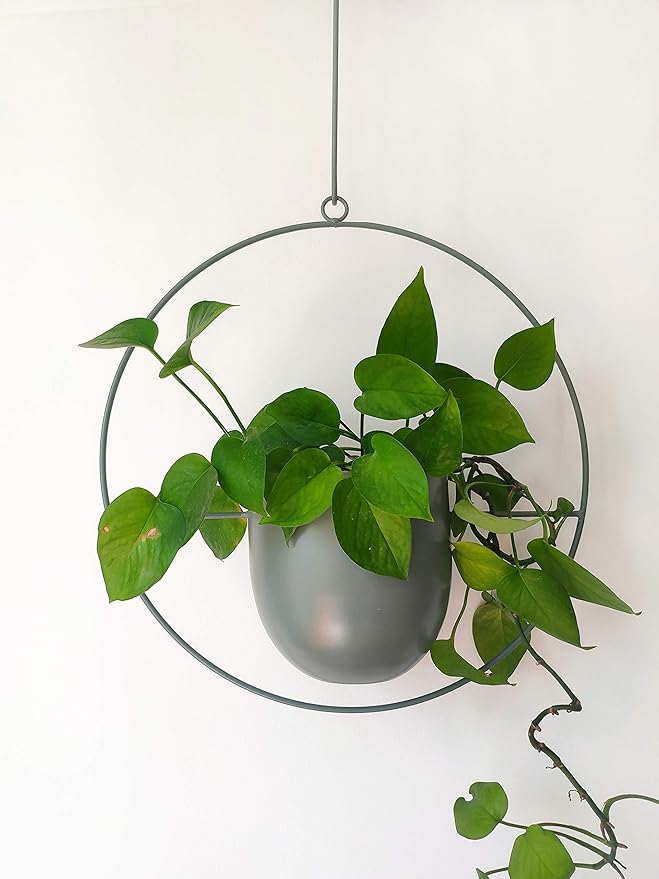 RISEON Boho Green Metal Plant Hanger,Metal Wall and Ceiling Hanging Planter, Modern Planter, Mid Century Flower Pot Plant Holder, Minimalist Planter for Indoor Outdoor Home Decor