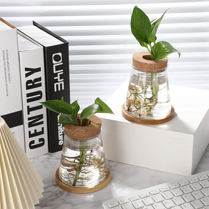 Baderke 12 Packs Propagation Vases for Plants Plastic Plant Propagation with Hole Lid and Bamboo Stand Growing in Water Hydroponic Home Office Desktop Vase Decoration (Cute Style)