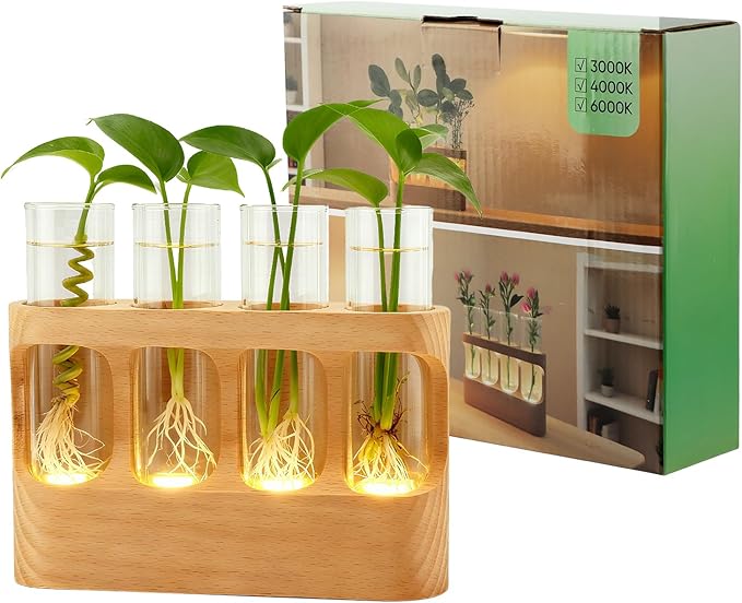 Rechargeable Plant Propagation Station with Wooden Stand,Desktop Terrarium Home Decor Dimmable LED Light 4 Glass Tubes Vases for Hydroponic Plants for Women