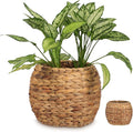 Cabilock Handwoven Hyacinth Planter Basket, Natural Woven Rattan Storage Basket for Small Plants, Eco-Friendly Indoor & Outdoor Decorative Pot Cover for Farmhouse, Boho Home Decor