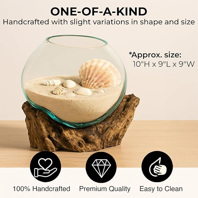 Cape Craftsmen 10" Hand-Blown Blue Tinted Bubble Glass On Natural Teak Driftwood Terrarium Kit | Home Décor Indoor Planter with Stand | Pot for Succulent and Plants