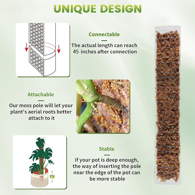 EOX 6 Pcs 24 Inch Plastic Moss Pole for Monstera, Large D Shaped Poles for Climbing Plants Work with Sphagnum Moss, 135 Inch Plant Stake Set of 6, Garden Ties