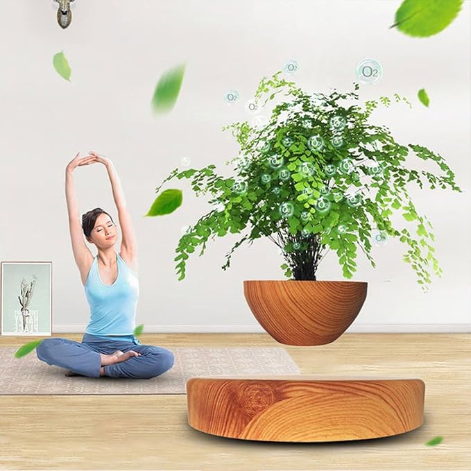 Levitating Plant Pot,Planting Flower pots,Magnetic levitation,Floating Plant Pot,Floating Plant,Hanging Flower pots,Suspendded Flowerpot,Hanging planters for Indoor Plants