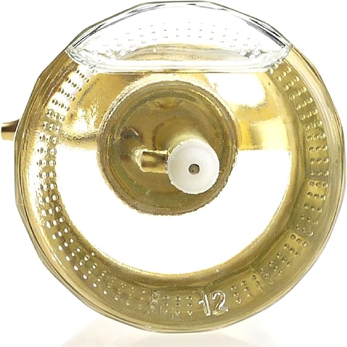 Plant Mister- Clear Color Glass Bottle & Brass Sprayer (Matt Gold)
