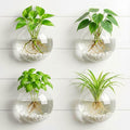 Hanging Wall Planter Propagation Stations - Window & Wall Glass Terrarium with Decorative Stones for Indoor Plants - Plant Holder Vases for Best Boho Chic Home & Office Decor