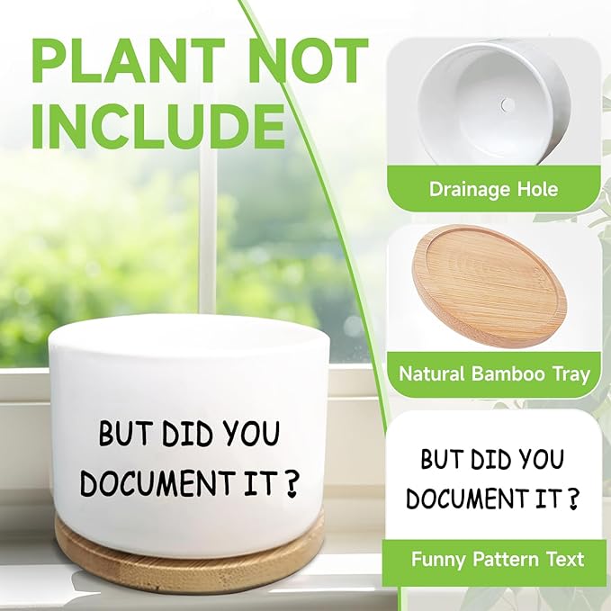 Office Desk Shelf Decor, Succulent Plant Pot, Ceramic Flower Cactus Planter Office Accessories Gifts for Coworker Employee Colleague Women Men Friend, But Did You Document It (Plants Not Included)