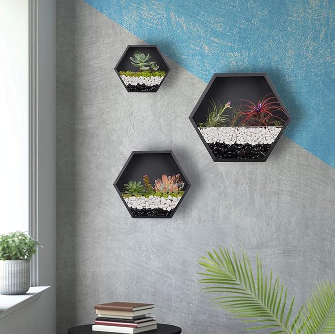 Hanging Hexagon Basket Hanging Wall Planters Metal Vase Retro Air Plant Holder Vintage Flower Pot Iron Geometric Planter Succulent Cactus Container for Wall Decor, Mixed Set of 3 (Black)