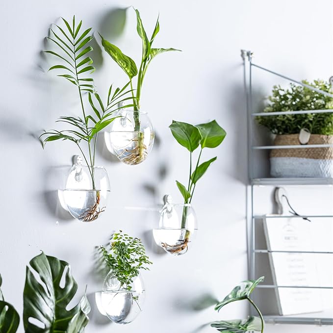 Wall Mount Plant Propagation Station - Clear Hydroponic Glass Vase, Oblate Planter for Indoor Plants | Perfect for Home, Office, Bathroom Decor | Gift for Plant Lovers (6)