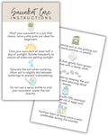 Succulent Care Instruction Cards with Icons 50pk 2x3.5” Home Propagated Plants for Sale Client Care How to Water Kit Plant Tags Labels