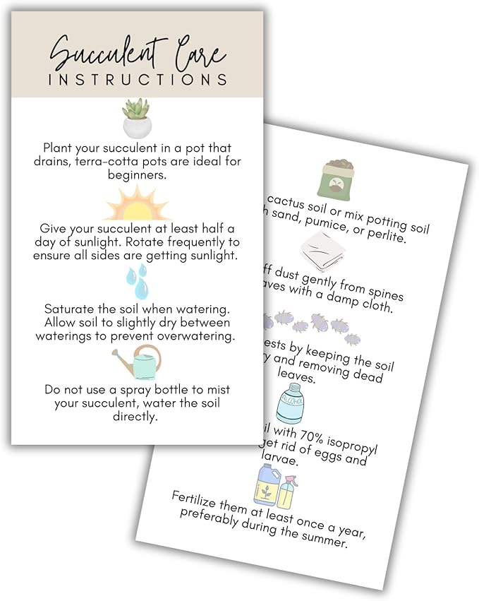 Succulent Care Instruction Cards with Icons 50pk 2x3.5” Home Propagated Plants for Sale Client Care How to Water Kit Plant Tags Labels