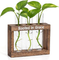 Rooted in Grace Propagation Station – Wooden Plant Holder with 3 Glass Vases, Indoor Rooting Station for Cuttings, Christian-Inspired Gift for Women, Birthday, Housewarming, Plant Lover Décor
