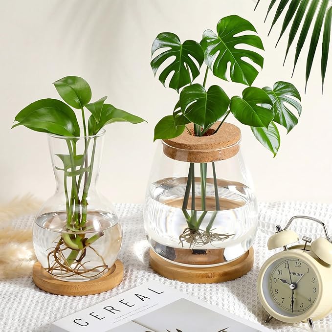 Honeydak 8 Pcs Plants Propagation Stations Planter Terrariums with Wooden Lid and Bamboo Stand Desktop Glass Propagation Vases for Plant Growing Hydroponic Home Office Tabletop Decoration
