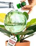 16 Oz Plant Watering Globes for Indoor Plants with Terracotta Self Watering Planter Insert - Hand-Blown XL Glass Globes - Automatic Indoor Planter Waterer, Gift Idea for Gardeners [1, Emerald]