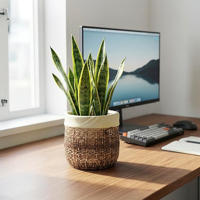 6 Inch Plant Pot - Ceramic Pots for Plants with Drainage Hole and Plug, Unique Plant Pots for Indoor Outdoor Plants, Round Planter, Room Home Decor, Gifts for Plant Lovers, Brown