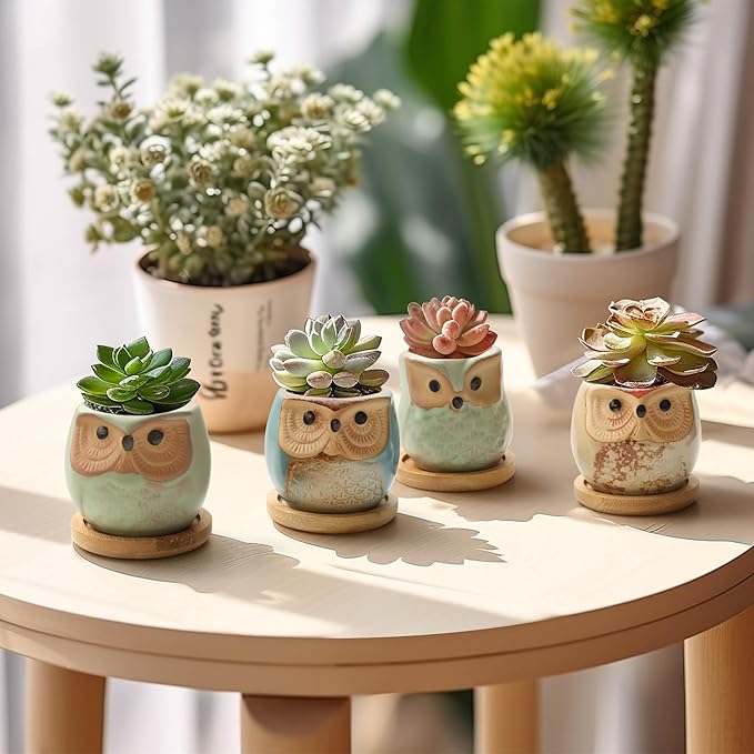 T4U 2.5 Inch Owl Ceramic Succulent Planter Pots with Bamboo Tray Set of 6, Flowing Glaze Porcelain Handicraft Plant Holder Container Gift for Mom Sister Aunt Best for Home Office Garden Decoration