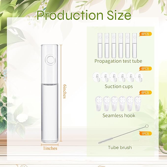 6 Pcs Window Propagation Stations Glass Plant Propagation Tubes with 6 Suction Cups and 6 Seamless Nails Easy to Install Plant Wall Hanging Terrarium Gifts for Plant Lovers