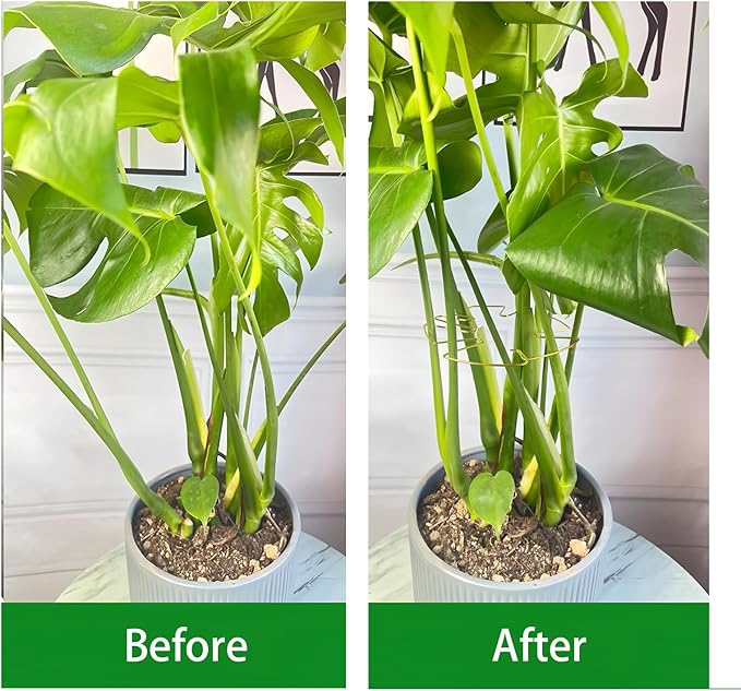5Pcs Gold Plant Stem Support, Stable Support Stakes for Plants Stabilize, Outdoor & Indoor & Garden Plant Stakes for Healthy Growth (Flower Shaped Bracket C)