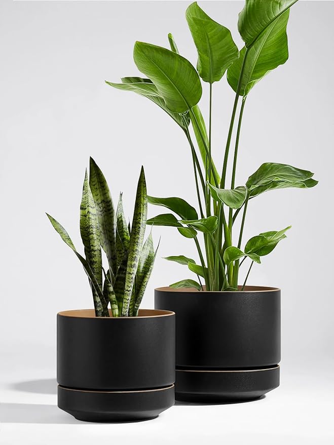 LE TAUCI 12 Inch Pot for Plants with Saucer, Ceramic Indoor Planter Pot with Drainage Hole, Mesh Pad Included, Matte Glazed Outside, Modern for Home and Office, Obsidian Black & Ochre