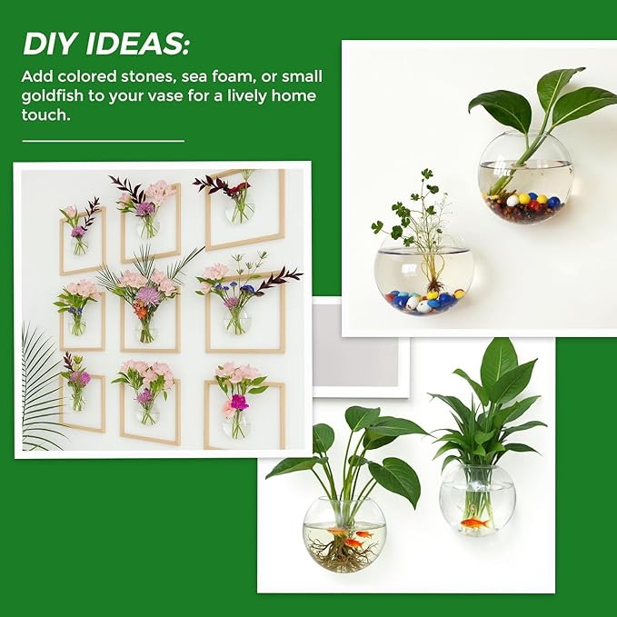DomeStar 6PCS Wall Vases, Clear Planter Terrarium Station Wall Mounted Hanging Glass Vases for Home Office Living Room Decor Hydroponics Plants Propagation