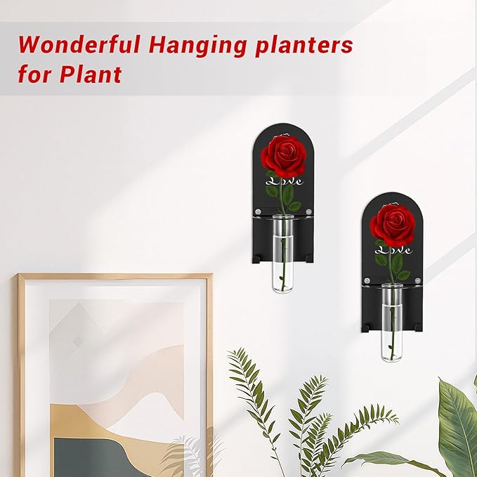 Wall Mount Glass Vase,Glass Plant Propagation Hanging Propagation Station Planters for Wall Decor,Clear Glass on Metal Base,Decorative Hanging Planter for Indoor Hydroponic Propagated Plant Holder(2)