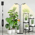 Grow Light with Stand for Indoor Plants, Dual Head Full Spectrum Floor Plant Light for Large Tall Plants, 16.5-68in Adjustable Height, 3/9/12H Timer, Dimmable, Modern Ring Grow Lamp for Home Décor