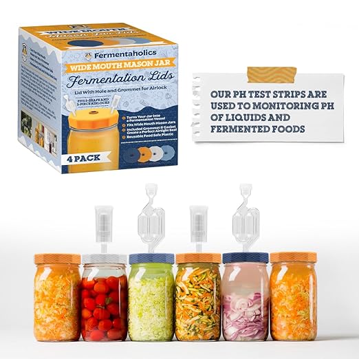 Fermentaholics Kombucha & Fermentation pH Test Strips – Instant Read pH Strips Dispenser for Brewing & Fermentation, pH Range 0–6
