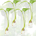 4PCS Wall Hanging Planter Propagation Stations, Plant Tube with Suction Cup Hook, Test Tube Propagation Station Wall Clear Plant Vase No Nails with Bottle Brush Flower Plant Terrarium