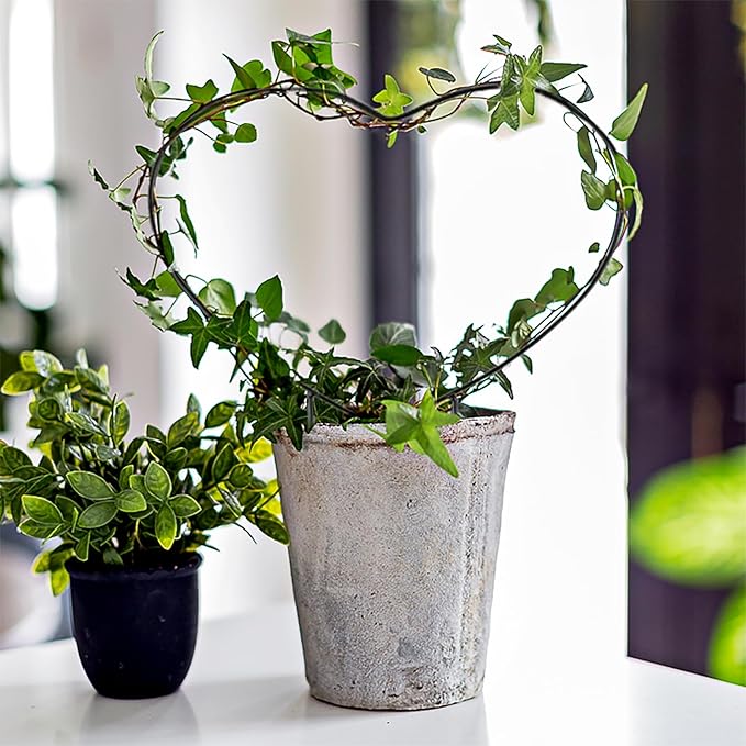 2 PCS Small Trellis for Potted Plants Outdoor Indoor, Metal Stackable Garden Trellis Houseplant Wire Stake with Black Rust Proof Coating for Decorative Vines Flowers Ivy Plant Support (Heart, 12in)