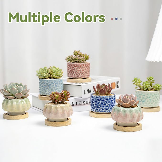 8 Pcs Succulent Pots with Ice Crack Glaze, 2 Shapes & 8 Colors Ceramic Succulent Planters with Drainage Holes & Bamboo Saucers, Indoor Plant Pots for Home Garden，Desk Decor, Office Decor, Gift Idea