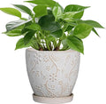 MPotTo 6 Inch Ceramic Plant Pot for Indoor Plants Outdoor Round Planter Flower Pot with Drainage Hole and Saucer for Home Garden Office Decor White