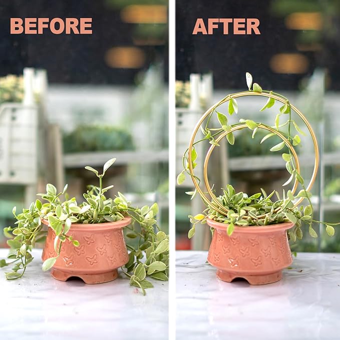YOHSNOR Hoya Trellis for Indoor Plants - Set of 3 Stylish Metal Plant Supports for Climbing Houseplants - Durable Design for Small Potted Plants with Increased Height Support