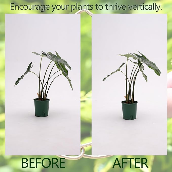 Yohsnor Monstera Plant Stem Support - 5 Piece Set, 4.13x2.95in Durable Leaf Holder & Fishbone Cactus Stake for Healthy Growth of Climbing Plants - Easy to Use Indoor Plant Decor