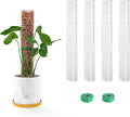 Bluepro 15 Inch 4 Pcs Plastic Moss Pole for Plants Monstera, 4×15'' Plant Poles for Climbing Plants, Plant Support for Indoor Plants Work with Sphagnum Moss