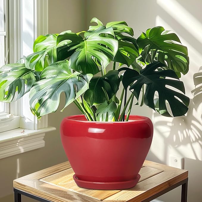 Ceramicfor 10 Inch Plant Pot - Ceramic Planter for Indoor Outdoor Plants, Glaze Modern Round Planter with Drainage Hole and Saucer, Gifts for Plant Lovers, Home Room Garden Decor, Red