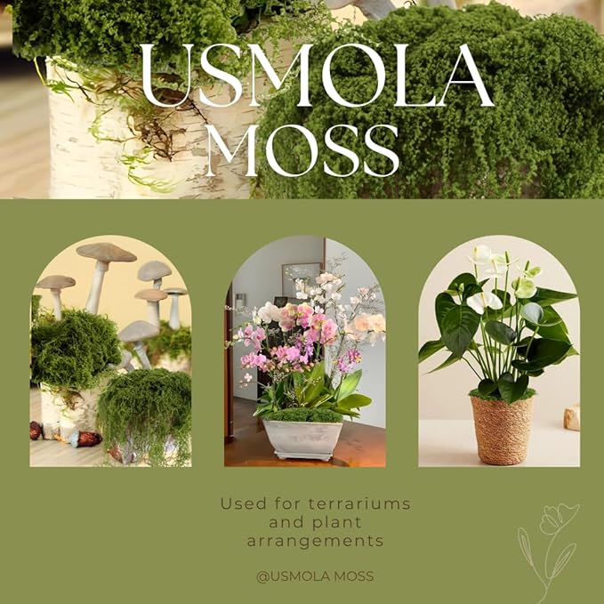 USMOLA Fake Moss for Potted Plants Indoor, 7OZ Green Moss for Crafts - Realistic Faux Moss Decor for DIY, Terrariums, Fairy Gardens & Table Centerpieces - Craft Moss for Home Decor (Natural Green)