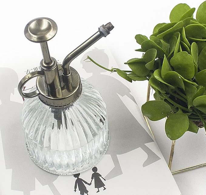 Glass Plant Mister Water Spray Bottle, 200 ML Glass Plant Spritzer Mister Bottle, Vintage Style Glass Succulent Watering Bottle with Top Pump, Plant Sprayer Mister for Indoor Plants - Clear