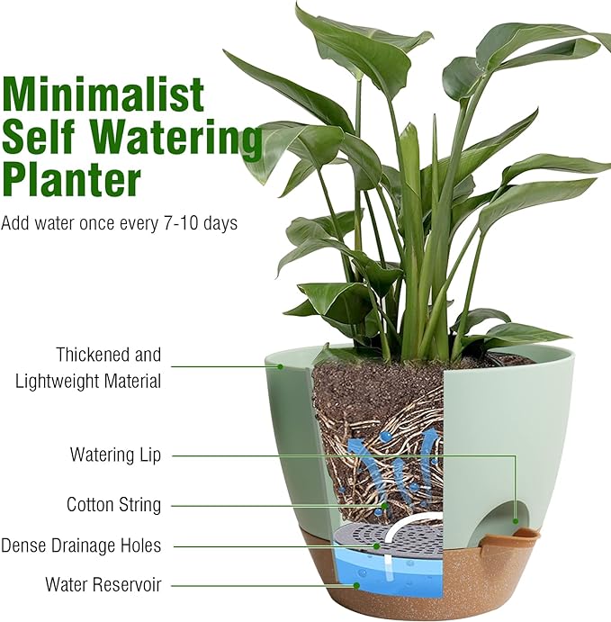 WSMKSZ 8 inch Self Watering Pots, 2 Pack Plastic Planters with Mesh Drainage Holes for Garden Plants and Flower, Plants Pots with Deep Reservoir for Indoor Outdoor Plants, Green with Brown