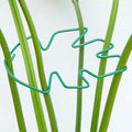 Yohsnor Monstera Plant Stem Support, 5-Pack Durable Indoor Stabilizer for Climbing Plants, 5.5x4.7 Inches Leaf Holder, for Plant Lovers, Enhance Your Indoor Garden