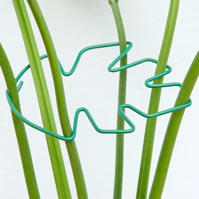 Yohsnor Monstera Plant Stem Support, 5-Pack Durable Indoor Stabilizer for Climbing Plants, 5.5x4.7 Inches Leaf Holder, for Plant Lovers, Enhance Your Indoor Garden