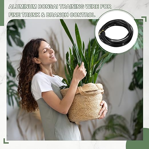 Bonsai Training Wire, 3.5mm x 16.4 ft Anodized Aluminum Floral Plant Training Wire Bendable Metal Stems Accessories for Gardening Branch Fixing Crafts (Black)