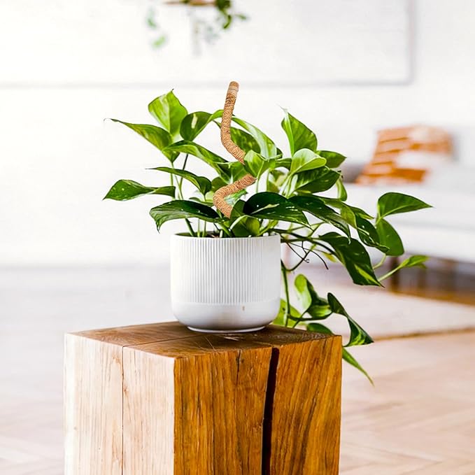SYOWADA 2Pcs Adjustable Moss Poles for Indoor Plants Upgrade and Reinforcement Bendable 28" Poles Growth Support for Monstera Deliciosa & Tropical Climbers and Most Large Potted Plant
