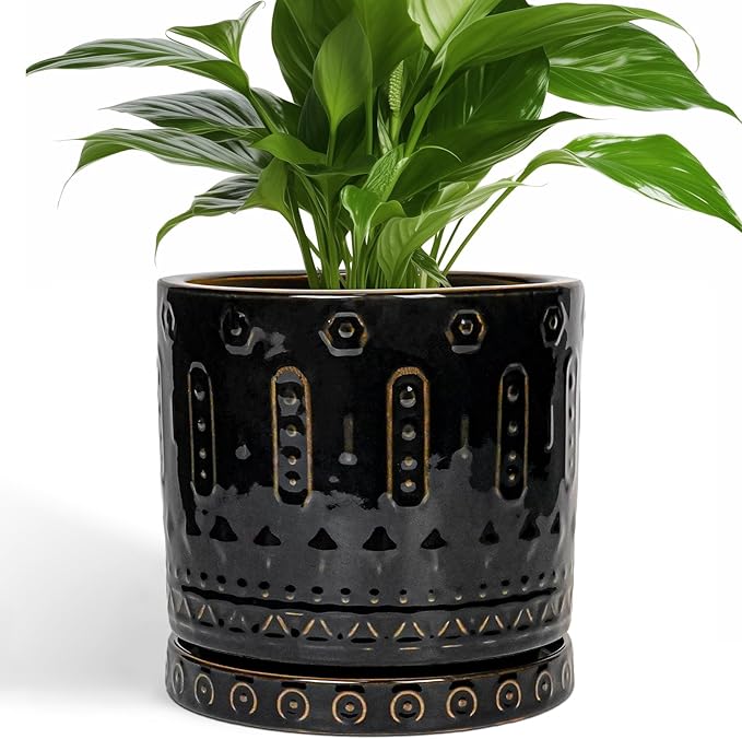 Eightpot Ceramic Pot for Plants - 8 Inch Plant Pots Indoor with Drainage Hole and Saucer, Decorative Round Planter Outdoor, Boho Ceramic Planter for Flower, House Garden Decor, Gardening Gifts, Black