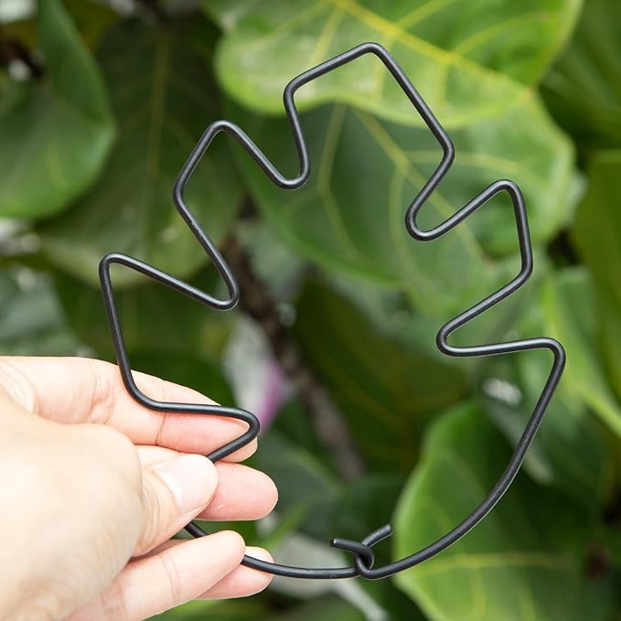 Yohsnor Monstera Plant Stem Support Set of 5 - Durable Stabilizers for Monstera and Climbing Plants - Ideal for Plant Lovers and Garden Care