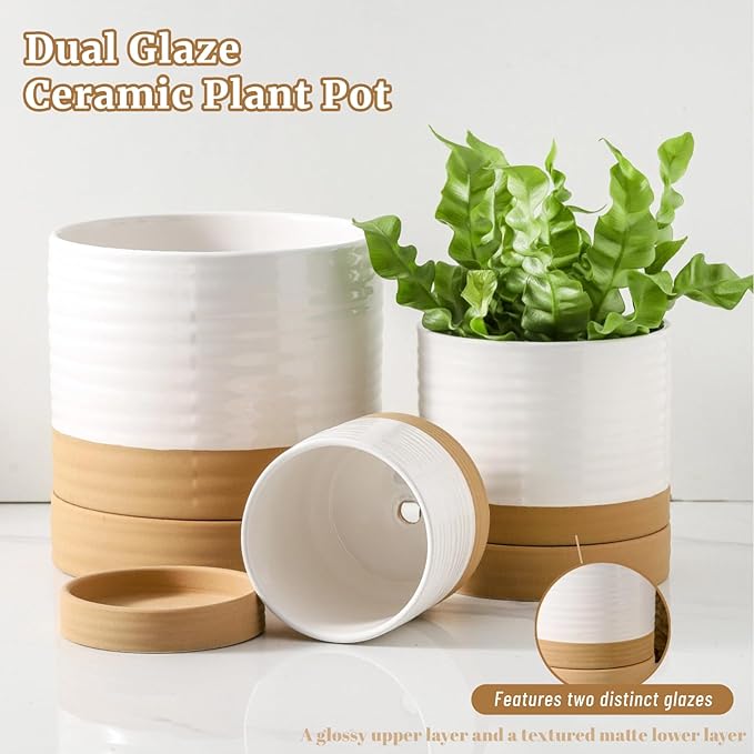HASENSE Pots for Plants, 8+6+4.6 Inch Ceramic Plant Pots Indoors with Drainage Hole and Tray, White Planters Set for Outdoor Indoor Plants, Farmhouse Home and Office Decor, Set of 3