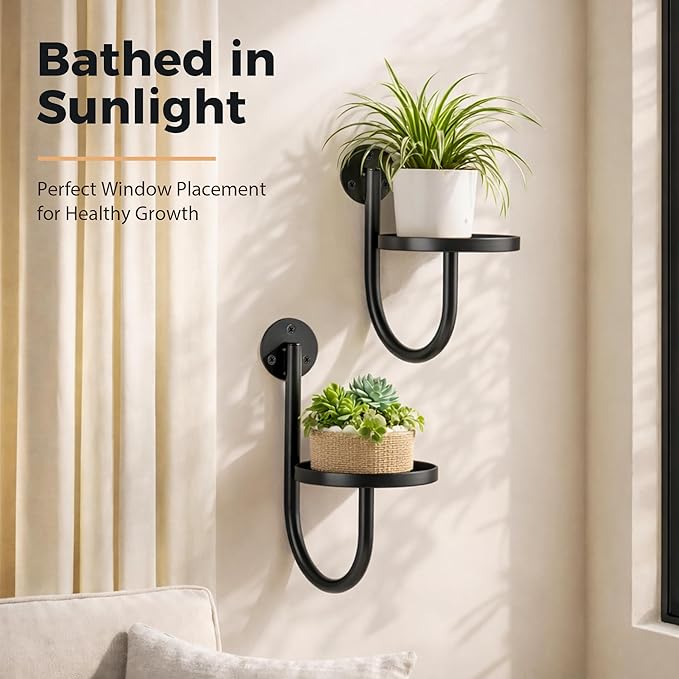 Wall Plant Holders for Indoor Plants, 3 Pack Metal Wall Mounted Plant Shelves，Modern Window Plant Hanger, Space Saving Hanging Planters for Living Room Bedroom Kitchen Bathroom Office Decor, Black