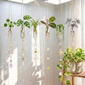 6 Pcs Plant Propagation Station Colorful Crystal Suncatcher, Handmade Boho Rooting Vase, Hanging Window Plant Propagator Stations Suncatcher with Chain Pendant Ornament Balls