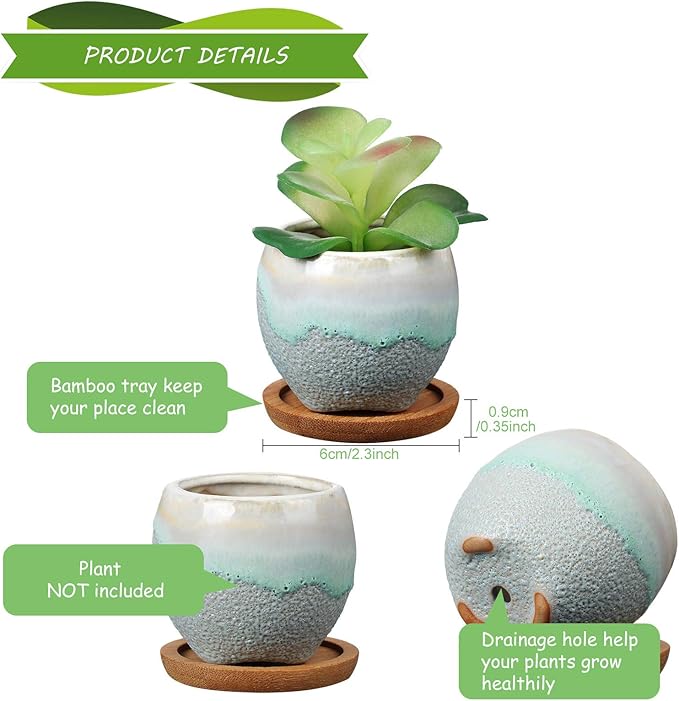 BBTO 6 Set Mini Succulent Pots Bulk with Drainage and Bamboo Tray 2.9 x 3.1 Inch Small Cute Ceramic Succulent Planter Pot Garden Glaze Container Ideal Present for Cactus Office Home Decoration Gift