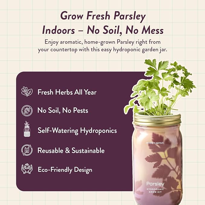 Modern Sprout Mason Garden Jar - Self-Watering Hydroponics Growing System Kit with Organic Herb Seeds - Jar Planter for Indoor Herb Garden - Seed Starter Kit - Home Decor & Gifting - Parsley